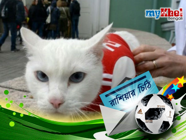 পলের মতো রাশিয়া বিশ্বকাপে ভবিষ্যৎবাণী করবে এই বিড়াল পলের মতো রাশিয়া বিশ্বকাপে ভবিষ্যৎবাণী করবে এই বিড়াল