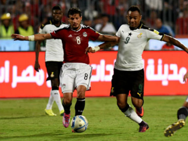 বিশ্বকাপে কতটা লড়াই দিতে তৈরি মিশর, জেনে নিন বিশ্বকাপে কতটা লড়াই দিতে তৈরি মিশর, জেনে নিন