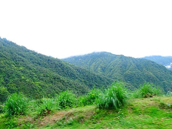 দওয়াইপানি 