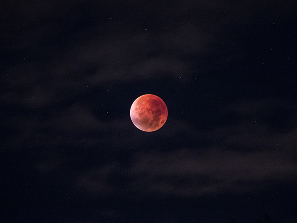 এটি কেন আলাদা? 