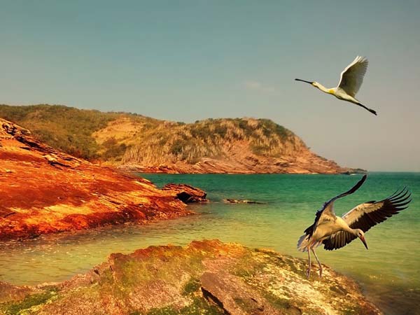 সেক্স আইল্যান্ড,কলম্বিয়া 