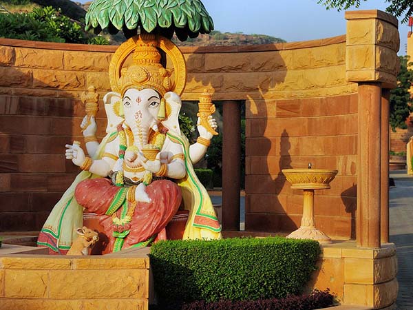 মোয়া মোয়া