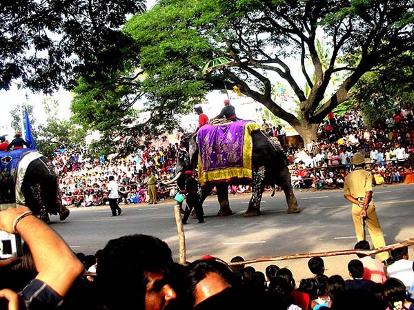 মাইসোর পৌঁছনোর পথ 