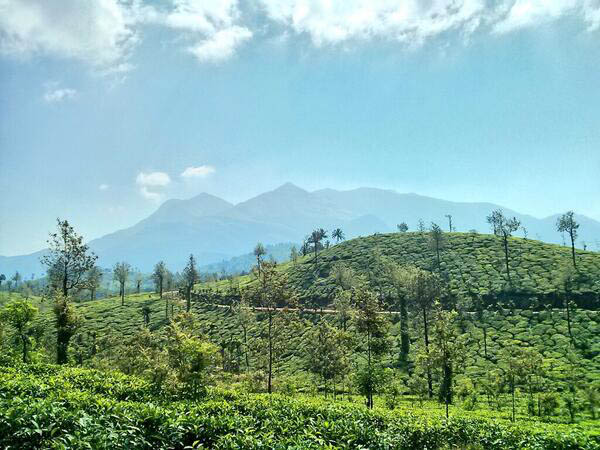 চেম্বরা