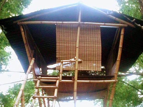 প্রকিউপাইন ক্যাস্টেল প্রকিউপাইন ক্যাস্টেল