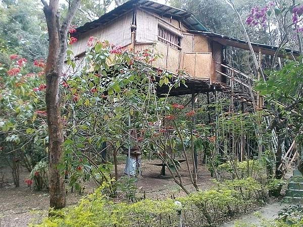 বৈথিরি রিসর্ট বৈথিরি রিসর্ট