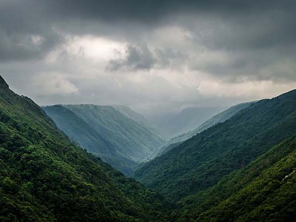 ফাঁদে ফেলার চেষ্টা