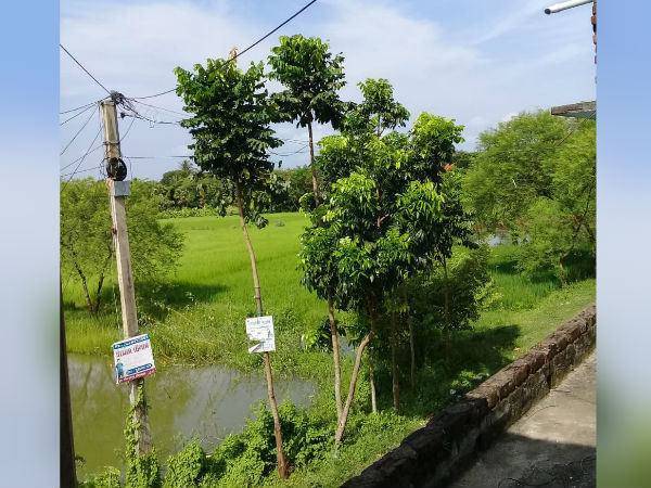 মিড ডে মিলে ভুতুড়ে অঙ্ক! ফের শিরোনামে দুর্গাপুর চঞ্চলাময়ী আদর্শ বিদ্যাপীঠ, তদন্তের আশ্বাস 