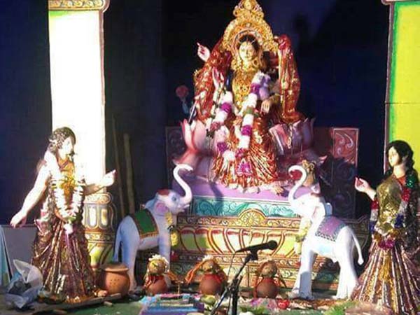  সাদা ফুলে পুজো নয়! 