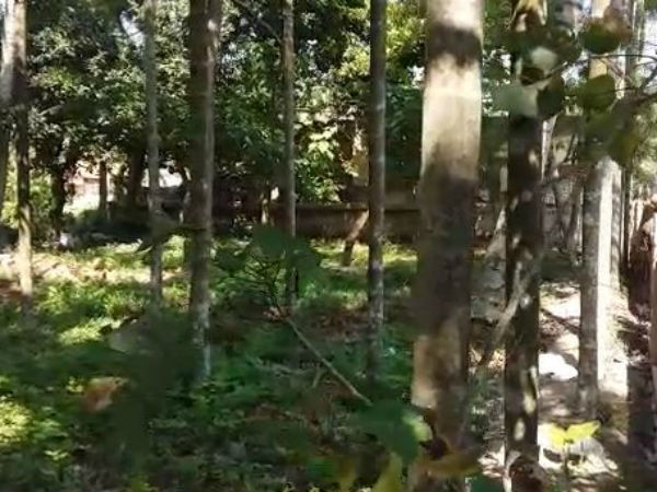 বারাসতে ভোরবেলায় মহিলাকে গণধর্ষণ করে খুনের চেষ্টা, আতঙ্ক এলাকায় 