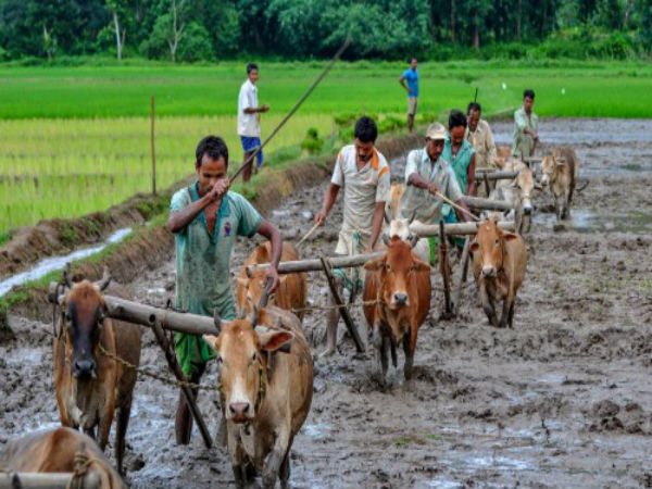 প্রভাব যেসব জেলায়