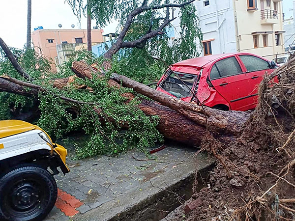 চেষ্টা করছে সরকার