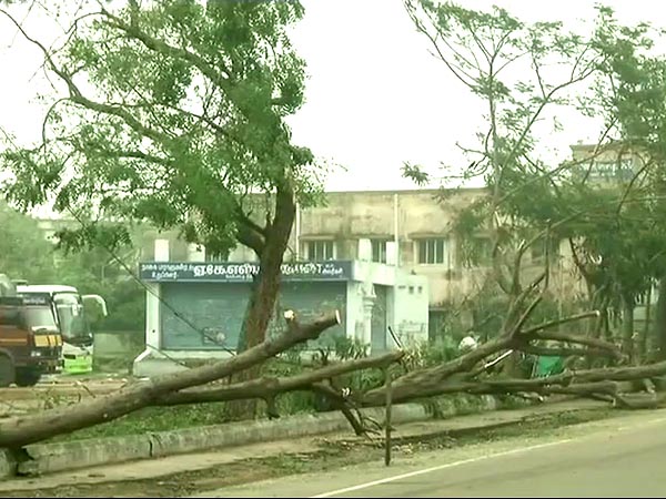 ক্ষতি বেশি যেসব জেলায়