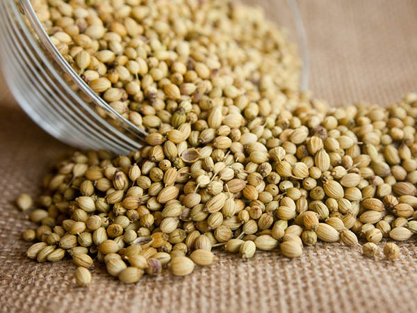 ধনের বীজ 