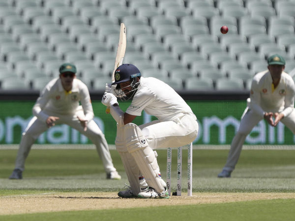 অ্যাডিলেড ওভালের উইকেট