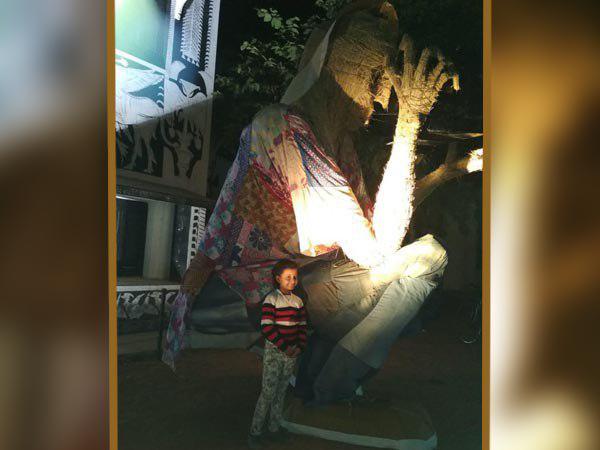 কেমন হয় এই মেলা?