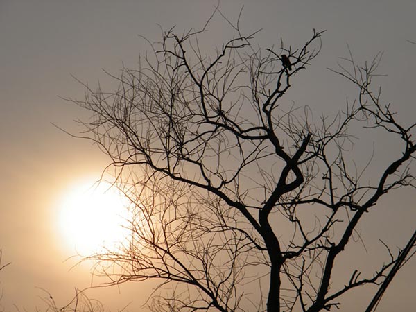 পশ্চিমাঞ্চলের আবহাওয়া পশ্চিমাঞ্চলের আবহাওয়া
