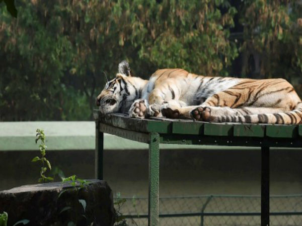 দক্ষিণবঙ্গের তাপমাত্রা