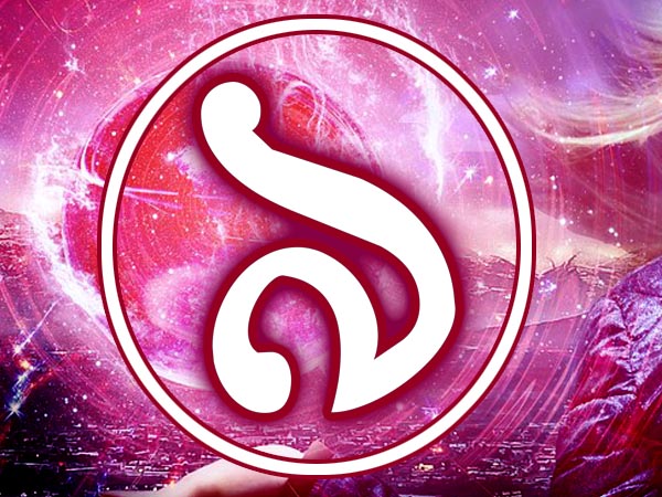 ৯ সংখ্যা