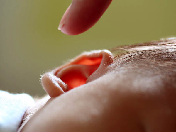  চ্যাপ্টা কান