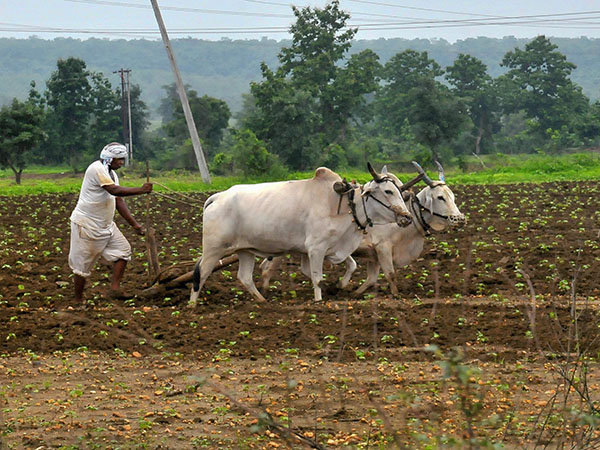পরপর চারমাস বর্ষাকাল