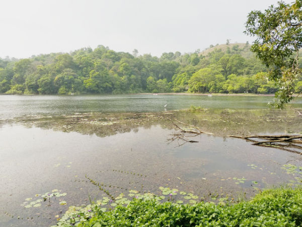 বনসুরা সাগর ড্যাম 