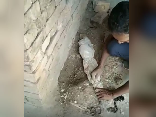 ভোটের আগে অভিযান! মুর্শিদাবাদে উদ্ধার প্রচুর অস্ত্র