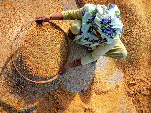কিষাণ বাজেট কিষাণ বাজেট