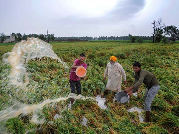 চারটি অঞ্চলেই এবার বর্ষার খামতি চারটি অঞ্চলেই এবার বর্ষার খামতি