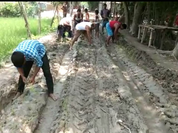 কোচবিহারে বেহাল রাস্তায় ধান রোপণ করে প্রতিবাদ মানুষের