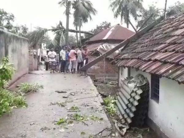 ঝড়ের প্রভাবে দিশেহারা ঝড়ের প্রভাবে দিশেহারা