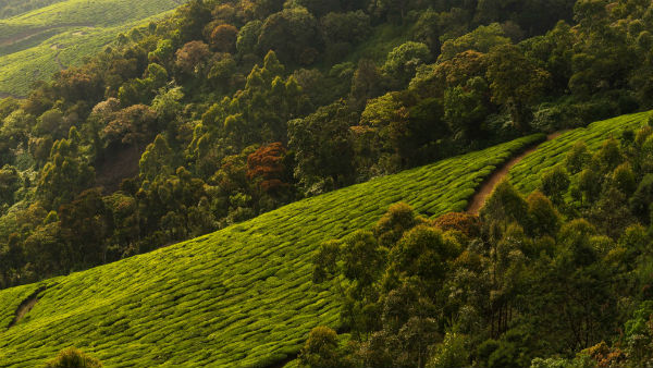 ঝরনায় বৃষ্টিপাত ঝরনায় বৃষ্টিপাত