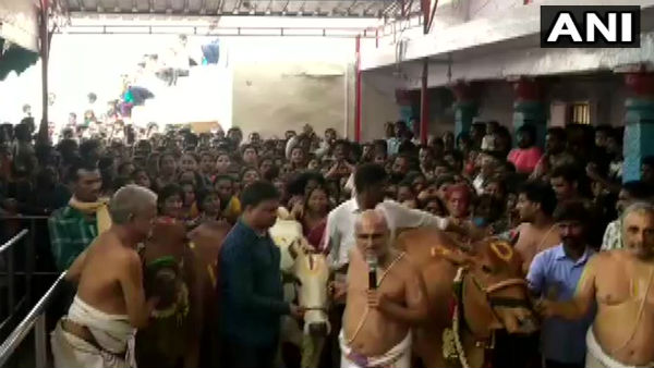 দেশে ধর্ষণ রুখতে ৩টি গরুকে ঘিরে পুজো ! হায়দরাবাদের বালাজি মন্দির খবরে দেশে ধর্ষণ রুখতে ৩টি গরুকে ঘিরে পুজো ! হায়দরাবাদের বালাজি মন্দির খবরে