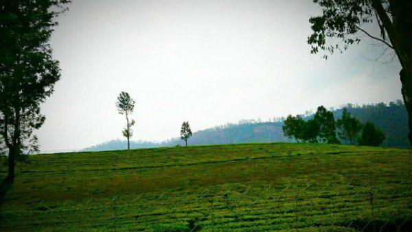 'মেঘের সাম্রাজ্যে'র আবহাওয়া! 'মেঘের সাম্রাজ্যে'র আবহাওয়া!