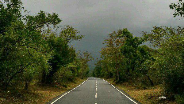 গাড়ি ছুটছে জঙ্গল দিয়ে... গাড়ি ছুটছে জঙ্গল দিয়ে...