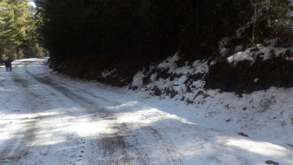 অবশেষে ভূটানের পথে