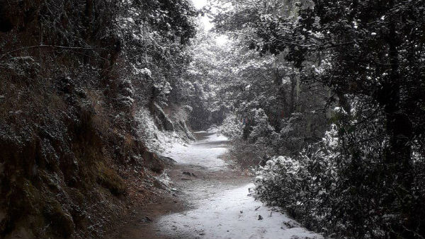 টাইগার নেস্ট