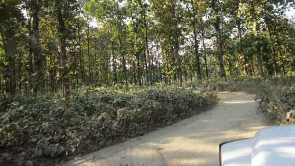 প্রথম দিন