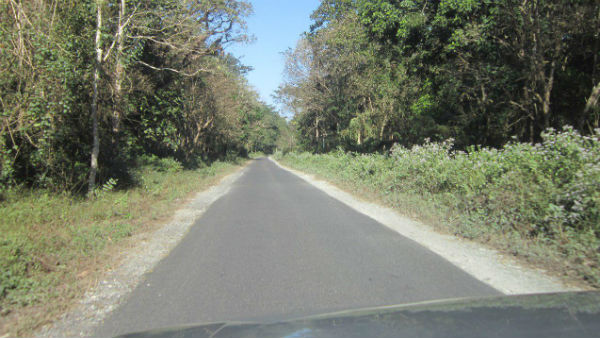 ঝালং-বিন্দু