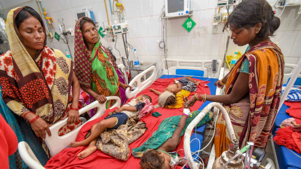 লিচুই কি প্রধান কারণ?