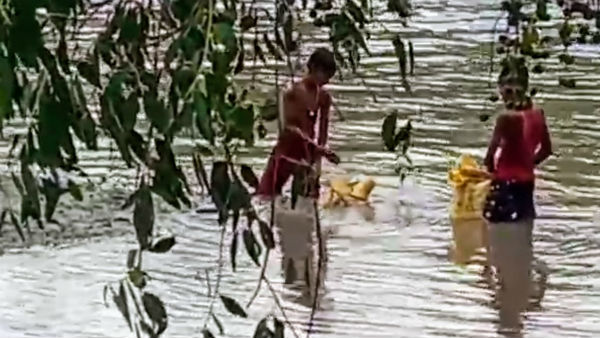প্রকৃতির সঙ্কট 