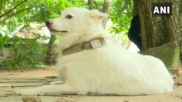  কোথায় ঘতে এই ঘটনা ? 