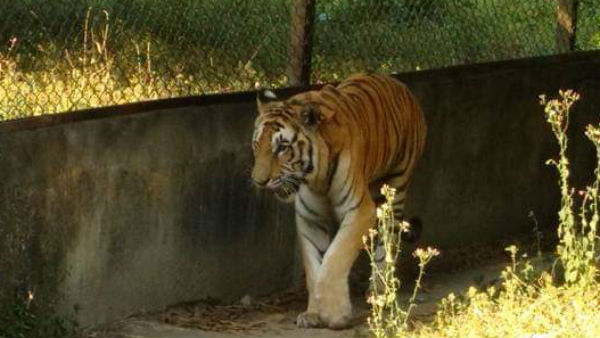 সাউথ খয়েরবাড়ি নেচার পার্ক সাউথ খয়েরবাড়ি নেচার পার্ক