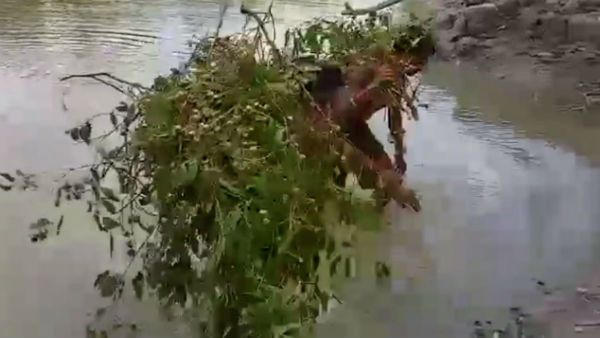  জীবনের ঝুঁকি নিয়ে বেঁচে থাকা