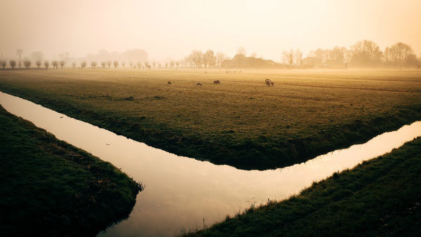 মাটির ক্ষয় হচ্ছে সবচেয়ে বেশি 