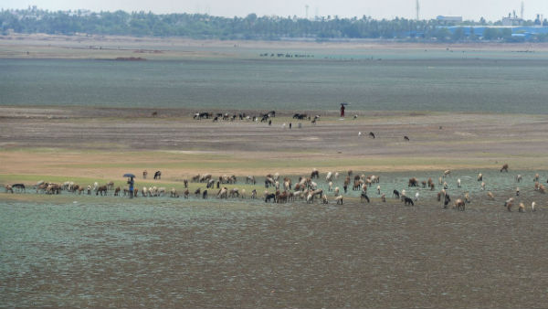 জল সংকট মোকাবিলায় উদ্যোগ প্রধানমন্ত্রী জল সংকট মোকাবিলায় উদ্যোগ প্রধানমন্ত্রী