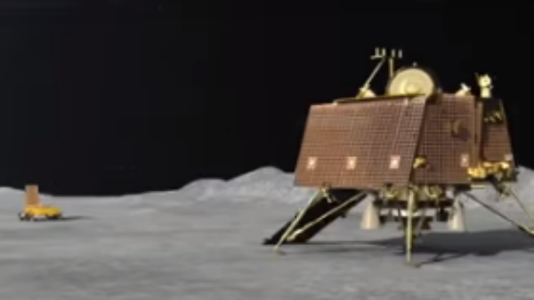 আয়ু ছিল মাত্র ১৪ দিন