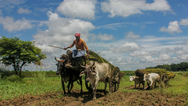 কৃষকদের অভিযোগ
