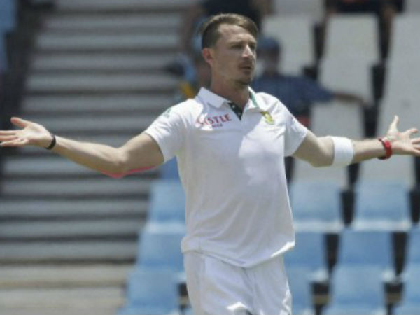 ডেল স্টেইন 