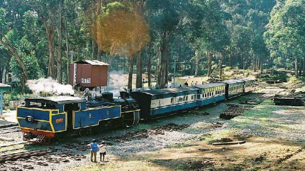 টয়ট্রেনে সেলফি তুলতে গিয়ে মর্মান্তিক পরিণতি! মৃত্যু হুগলির পর্যটকের টয়ট্রেনে সেলফি তুলতে গিয়ে মর্মান্তিক পরিণতি! মৃত্যু হুগলির পর্যটকের